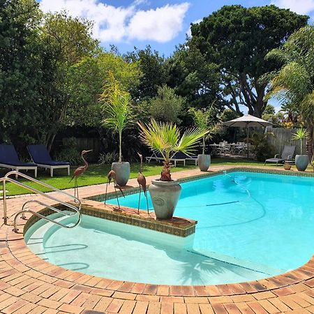 Wild Olive Guest House & Villa Cidade Do Cabo Exterior foto
