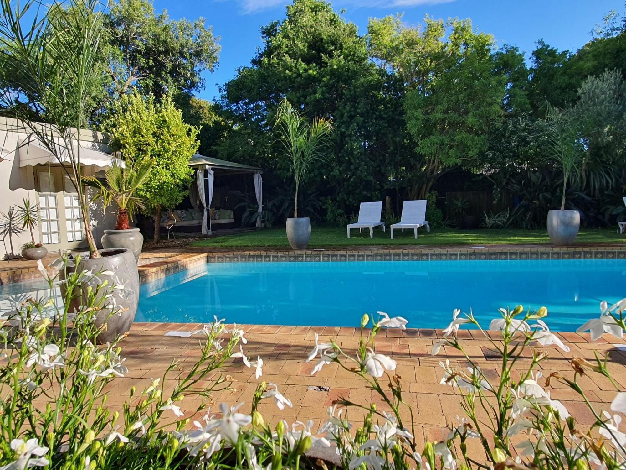 Wild Olive Guest House & Villa Cidade Do Cabo Exterior foto