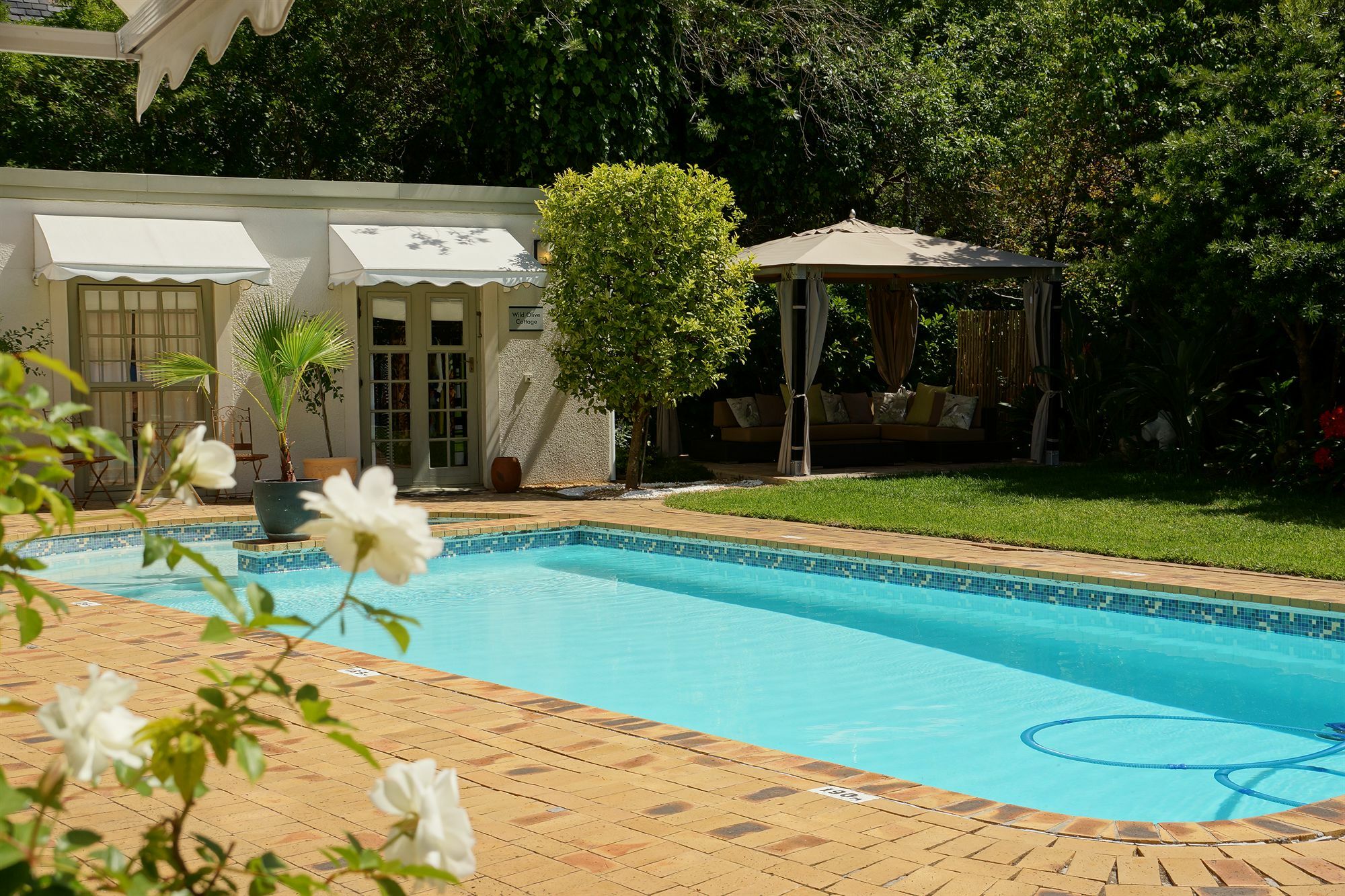 Wild Olive Guest House & Villa Cidade Do Cabo Exterior foto