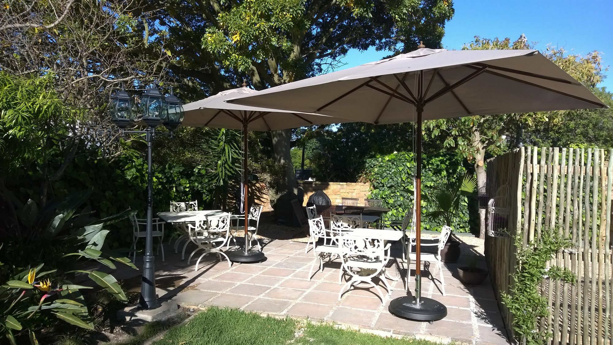 Wild Olive Guest House & Villa Cidade Do Cabo Exterior foto